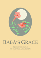 Baba's Grace front cover.jpg