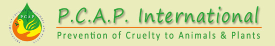 File:PCAP logo.jpg